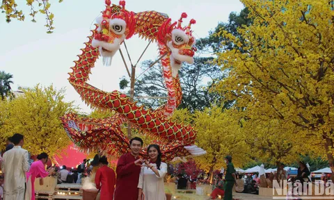 [Ảnh] Mai vàng rực rỡ Lễ hội Tết Việt Giáp Thìn 2024