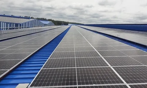 Việt Nam, EU và Bỉ thúc đẩy hợp tác xanh, bền vững