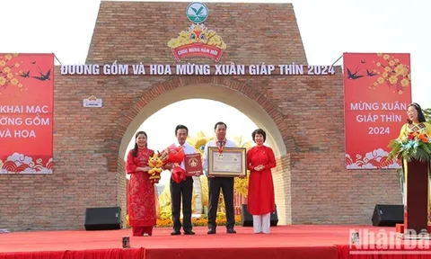 Đường gốm đỏ và hoa Vĩnh Long được xác lập kỷ lục Việt Nam