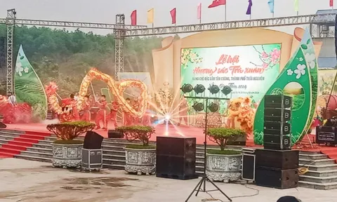 Lễ hội “Hương sắc Trà xuân - Vùng chè đặc sản Tân Cương”