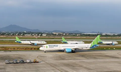 Dừng khai thác đường bay của Bamboo Airways chặng Hà Nội, TP Hồ Chí Minh - Côn Đảo