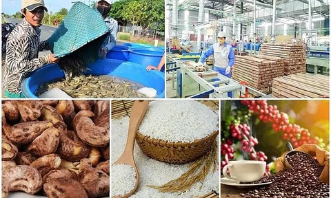 Tăng lòng tin của các nhà bán lẻ EU với nông sản Việt