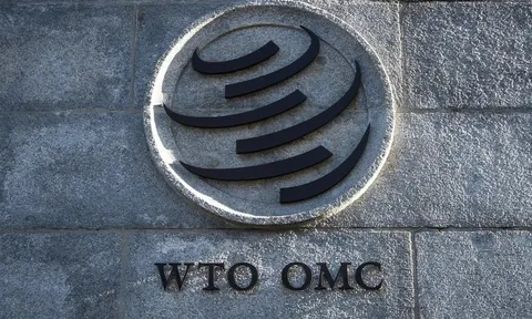Hội nghị Bộ trưởng WTO trước những cơn gió ngược về kinh tế và chính trị