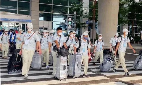 Hàn Quốc thí điểm tiếp nhận lao động nước ngoài cho 4 ngành mới từ tháng 4 tới