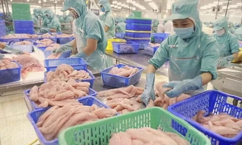 Giá trị xuất siêu nông lâm thủy sản của Việt Nam tăng gần gấp ba