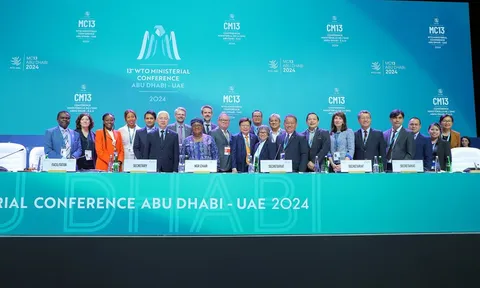 WTO kêu gọi các thành viên thu hẹp khoảng cách, tìm sự đồng thuận tại MC13