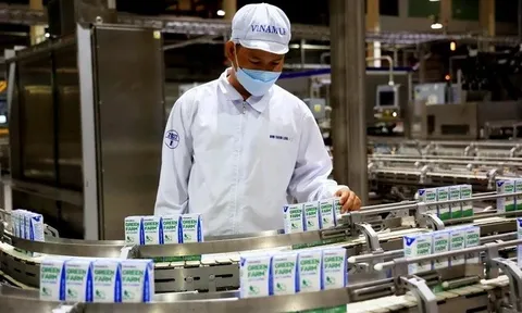 Hơn 520 doanh nghiệp đạt chứng nhận hàng Việt Nam chất lượng cao năm 2024