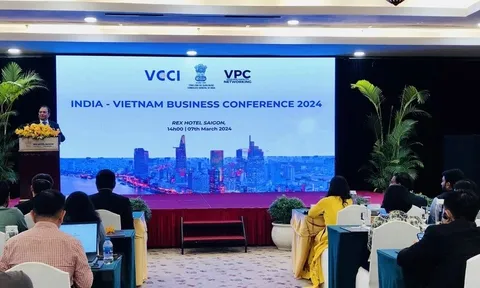 Kết nối giao thương doanh nghiệp Việt Nam-Ấn Độ