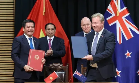 Việt Nam-New Zealand hướng tới kim ngạch thương mại 2 tỷ USD trong năm 2024