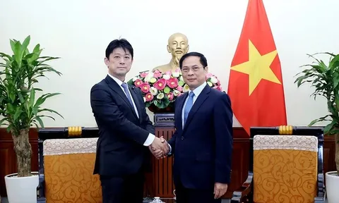 Nhật Bản duy trì vị trí đối tác quan trọng hàng đầu của Việt Nam