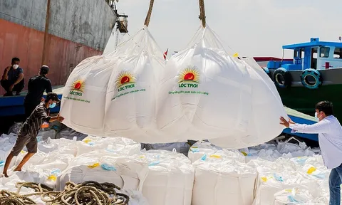Xuất khẩu gạo sang thị trường Trung Quốc và những lưu ý cho doanh nghiệp Việt