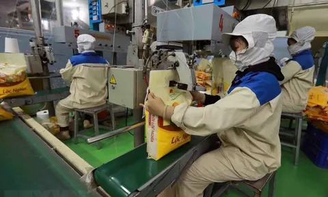 Xuất khẩu gạo sang thị trường Senegal: Dư địa, tiềm năng còn rất lớn