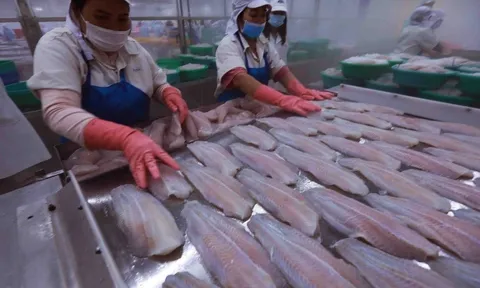 Chuyên gia: Bí quyết giúp doanh nghiệp Việt chinh phục các thị trường tỷ dân