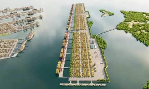 Thành phố Hồ Chí Minh: Nghiên cứu xây dựng Cảng trung chuyển quốc tế Cần Giờ