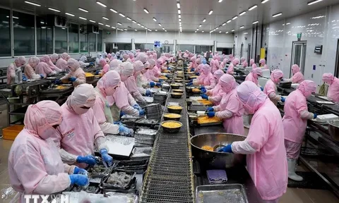 Xuất khẩu thủy sản quý 1 năm 2024 đạt gần 2 tỷ USD