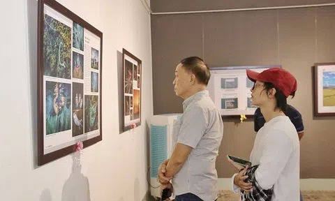 Tổ chức Cuộc thi và triển lãm ảnh nghệ thuật Việt Nam năm 2024