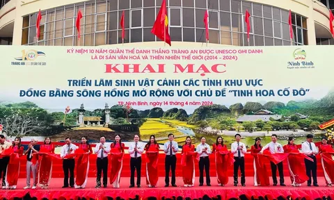 Triển lãm sinh vật cảnh các tỉnh khu vực đồng bằng sông Hồng mở rộng năm 2024