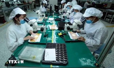 Giới chuyên gia quốc tế đánh giá cao tiềm năng của thị trường Việt Nam