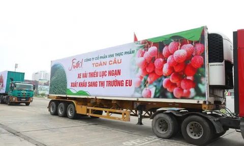 Thương mại điện tử: Cơ hội đưa nông sản Việt vươn xa