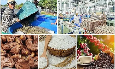 4 tháng, xuất khẩu nông lâm thủy sản thu về gần 20 tỷ USD