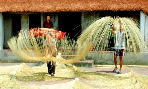 Nghề cói Kim Sơn trở thành di sản văn hóa phi vật thể quốc gia