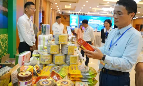 Tăng cường kết nối giao thương khu vực Bắc Trung Bộ