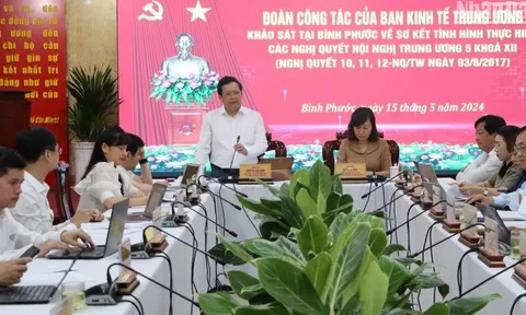 Kinh tế tư nhân nhiều năm tăng trưởng ấn tượng