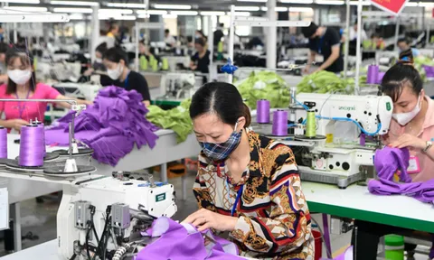 Đơn hàng phục hồi, dệt may mở rộng tìm kiếm thị trường