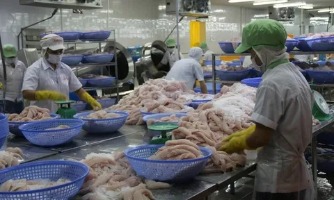 Số doanh nghiệp gia nhập thị trường cao gấp 1,2 lần so với trước COVID-19