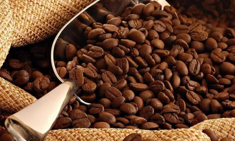 Xuất khẩu cà phê của Việt Nam sang thị trường Tây Ban Nha tăng trưởng khả quan