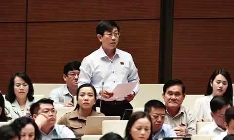 Đại biểu Quốc hội: Cần quan tâm đến “sức khỏe” của doanh nghiệp