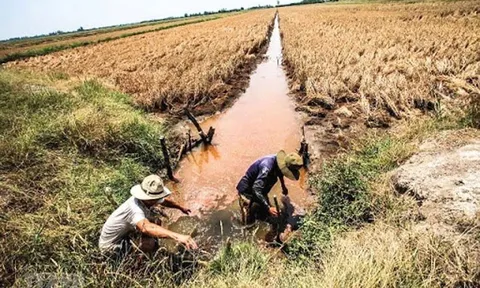 Xâm nhập mặn tại đồng bằng sông Cửu Long tiếp tục giảm