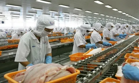 Trung Quốc là thị trường nhập khẩu cá tra lớn nhất của Việt Nam