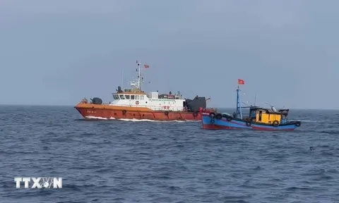 Hàn Quốc ủng hộ những nỗ lực của Việt Nam nhằm gỡ thẻ vàng IUU