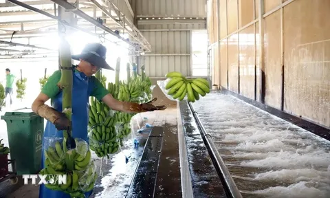 Doanh nghiệp Việt Nam góp phần cải thiện cuộc sống người lao động Lào