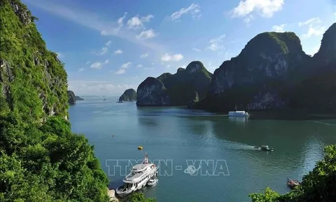 Xác minh, làm rõ việc tàu du lịch “bỏ rơi” khách trên vịnh Hạ Long
