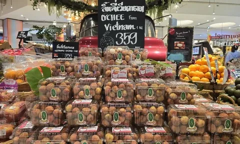 Độc đáo quảng bá vải thiều Việt Nam bằng sticker tại thủ đô của Thái Lan