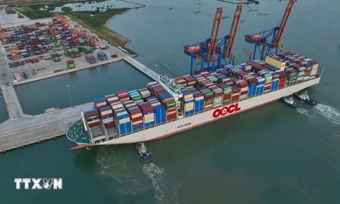 Hợp tác thương mại Việt Nam-Nga: Kỳ vọng mở ra cơ hội mới