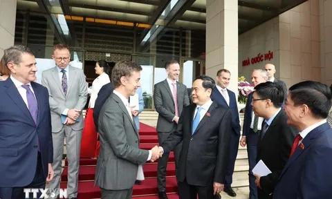 'EU và các nước thành viên là những đối tác quan trọng hàng đầu của Việt Nam'