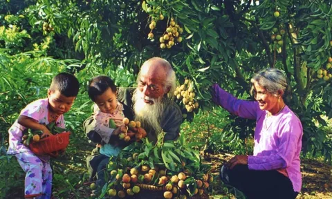 Nhiều hoạt động văn hóa tôn vinh giá trị truyền thống gia đình