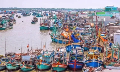 Chuyên gia: Việt Nam có nhiều chuyển biến tích cực trong gỡ “thẻ vàng” IUU
