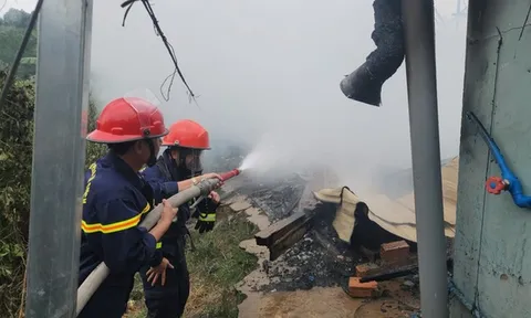 Tập trung khắc phục hậu quả vụ cháy ở Đà Lạt, Lâm Đồng