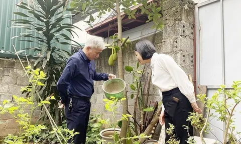 Hà Nội: Số ca mắc sốt xuất huyết tăng mạnh