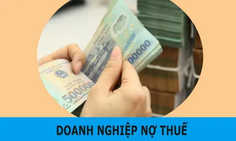 Trường Đại học Hà Hoa Tiên nợ thuế hơn 50 tỷ đồng
