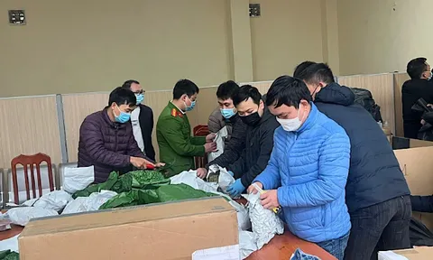 Công an Hà Nội triệt phá đường dây mua bán cần sa, thu giữ hơn 700 kg