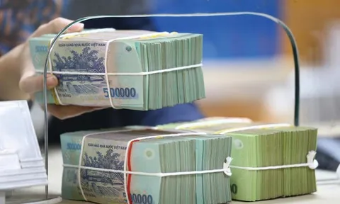 Tổ chức tài chính vi mô thực hiện phân loại nợ theo 5 nhóm