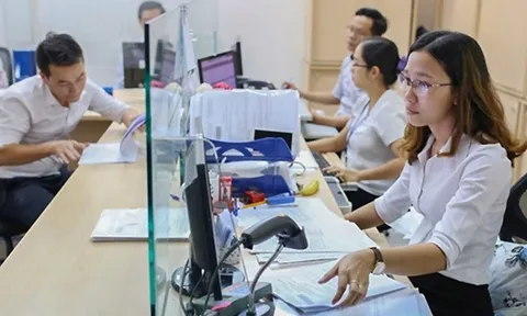 Quy định mới về cơ cấu, tỷ lệ ngạch công chức