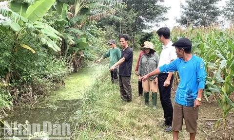 Đắk Lắk tăng cường phòng, chống bệnh viêm não Nhật Bản