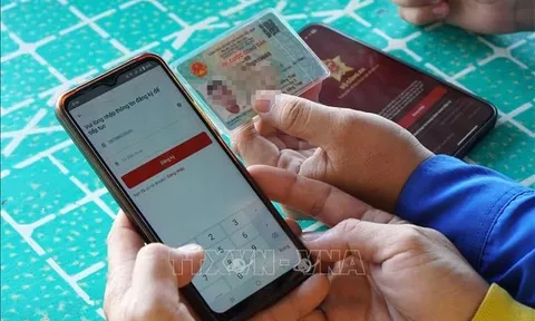 Tước 499 giấy phép lái xe trên ứng dụng VneID
