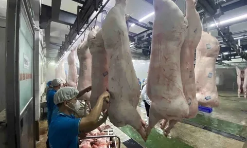 EU ban hành quy định sửa đổi về chứng nhận vệ sinh thú y trong xuất khẩu